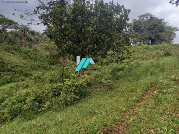 Imagem Fazenda à Venda, 27 m² em Caio Martins - Esmeraldas Imagem Fazenda à Venda, 27 m² em Caio Martins - Esmeraldas