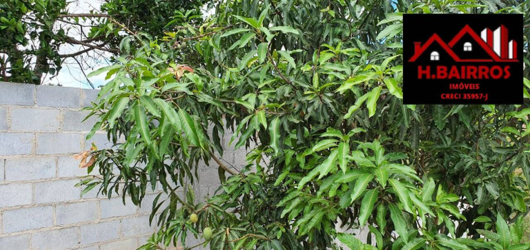 Imagem Chácara com 3 Quartos à Venda, 1.165 m² em Redenção Da Serra