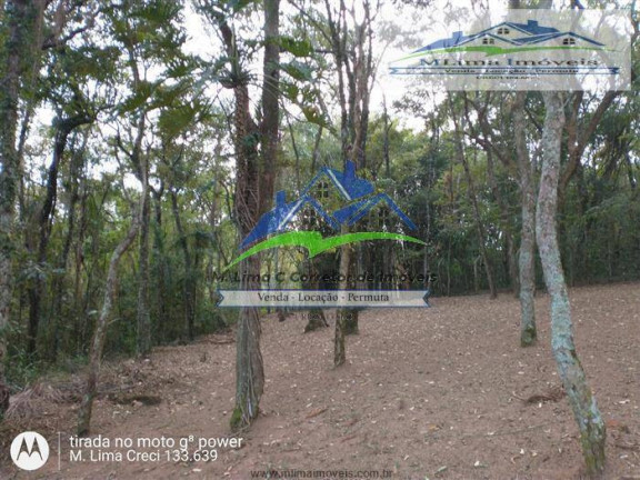 Imagem Chácara com 3 Quartos à Venda, 46.887 m² em Portão - Atibaia