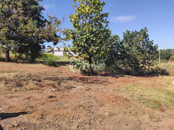 Imagem Terreno à Venda, 360 m² em Jardim Mansur - Campo Grande Imagem Terreno à Venda, 360 m² em Jardim Mansur - Campo Grande