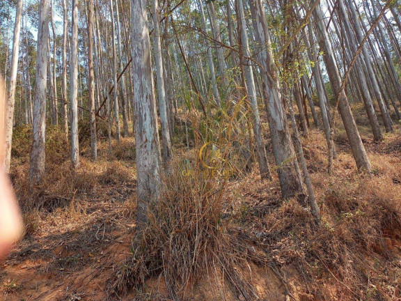 Imagem Fazenda à Venda, 3.388.000 m² em Centro - Areias Imagem Fazenda à Venda, 3.388.000 m² em Centro - Areias