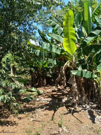 Imagem Imóvel com 4 Quartos à Venda,  em Nova Gardênia - Atibaia