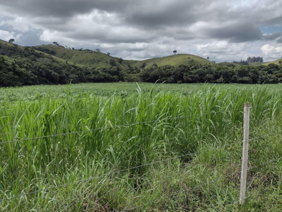 Imagem Fazenda à Venda, 90 m² em Centro - São José Dos Campos Imagem Fazenda à Venda, 90 m² em Centro - São José Dos Campos