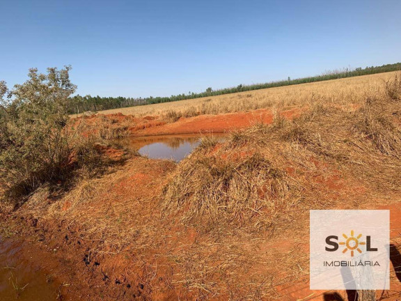 Imagem Chácara com 2 Quartos à Venda, 294.000 m² em Zona Rural - Bela Vista De Goiás Imagem Chácara com 2 Quartos à Venda, 294.000 m² em Zona Rural - Bela Vista De Goiás