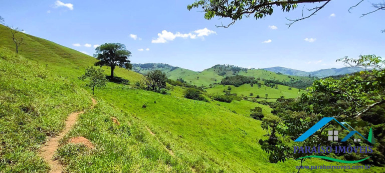Imagem Chácara à Venda, 20 m² em Centro - Paraisópolis Imagem Chácara à Venda, 20 m² em Centro - Paraisópolis
