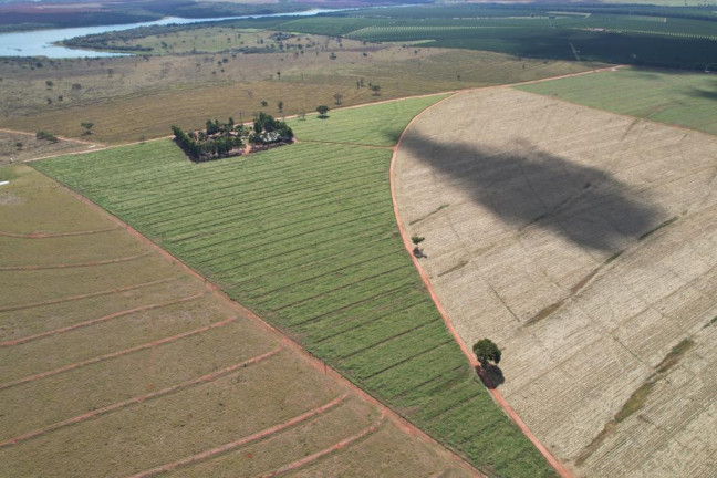 Imagem Fazenda à Venda, 125 m² em Zona Rural - Sud Mennucci Imagem Fazenda à Venda, 125 m² em Zona Rural - Sud Mennucci