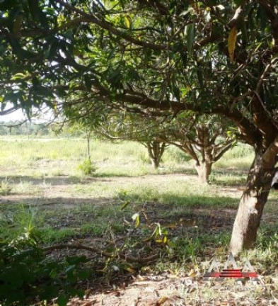 Imagem Terreno à Venda, 10.000 m² em Recanto Seriema - Cuiabá