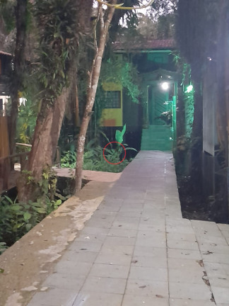 Casa com 3 Quartos à Venda, 256 m² em Camburi - São Sebastião