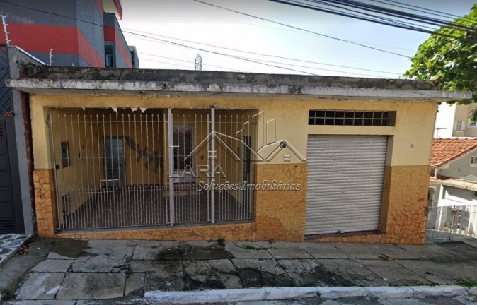Terreno à Venda, 244 m² em Vila Granada - São Paulo