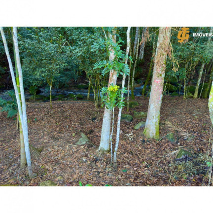 Imagem Imóvel com 3 Quartos à Venda, 5.000 m² em Moura - Canelinha Imagem Imóvel com 3 Quartos à Venda, 5.000 m² em Moura - Canelinha