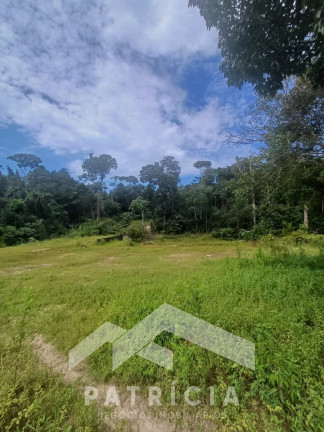 Imagem Imóvel com 2 Quartos à Venda, 140 m² em Zona Rural - Nova Maringá