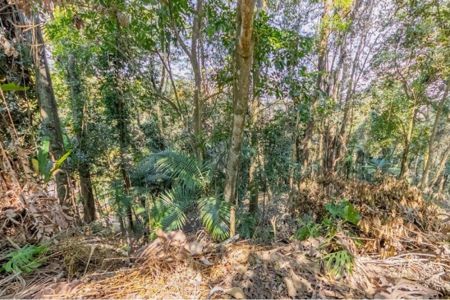 Imagem Terreno à Venda, 5.339 m² em Condomínio Iolanda - Taboão Da Serra