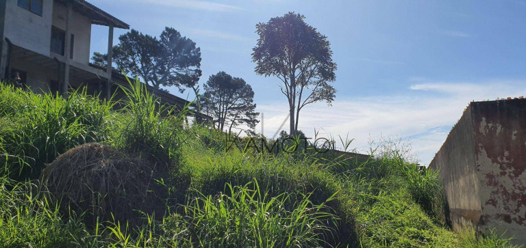 Imagem Imóvel à Venda, 300 m² em Recanto Suíço - Ribeirão Pires Imagem Imóvel à Venda, 300 m² em Recanto Suíço - Ribeirão Pires