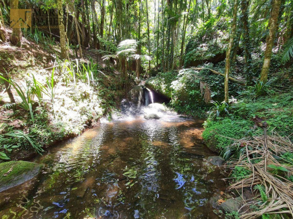 Imagem Fazenda à Venda, 2.500 m² em Centro - São Francisco Xavier Imagem Fazenda à Venda, 2.500 m² em Centro - São Francisco Xavier
