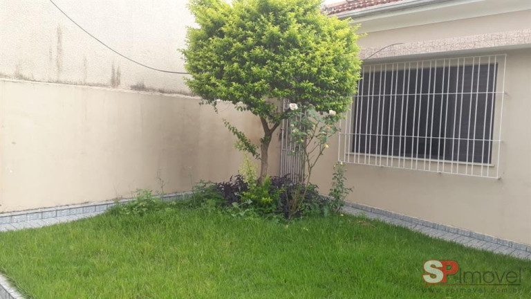 Imagem Terreno à Venda, 300 m² em Cidade Patriarca - São Paulo Imagem Terreno à Venda, 300 m² em Cidade Patriarca - São Paulo