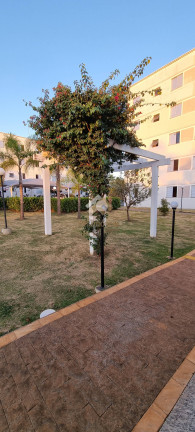 Imagem Apartamento com 2 Quartos à Venda,  em São Carlos