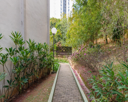 Imagem Apartamento com 2 Quartos à Venda, 67 m² em Jardim Marajoara - São Paulo Imagem Apartamento com 2 Quartos à Venda, 67 m² em Jardim Marajoara - São Paulo