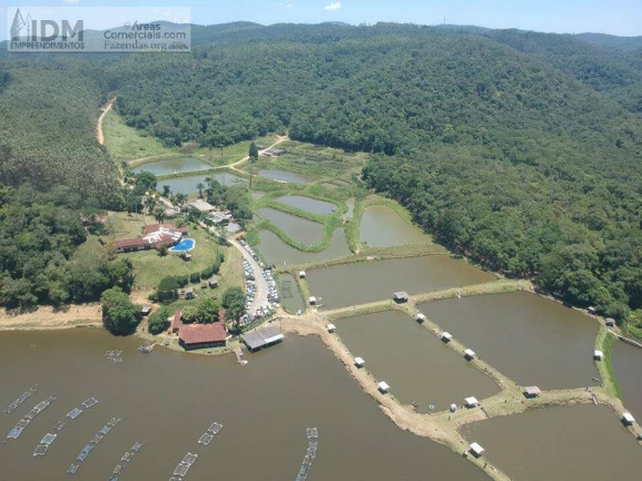 Imagem Chácara à Venda, 1.690.000 m² em Centro - Piedade Imagem Chácara à Venda, 1.690.000 m² em Centro - Piedade