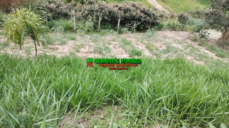 Imagem Chácara à Venda, 2 m² em área Rural De São José Dos Campos - São José Dos Campos Imagem Chácara à Venda, 2 m² em área Rural De São José Dos Campos - São José Dos Campos