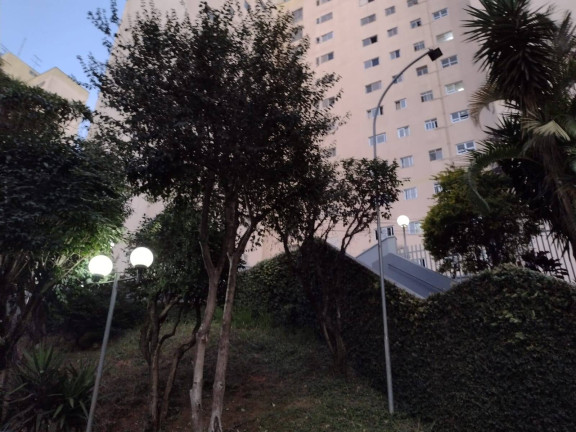 Imagem Apartamento com 3 Quartos à Venda, 67 m² em Vila Moraes - São Paulo Imagem Apartamento com 3 Quartos à Venda, 67 m² em Vila Moraes - São Paulo