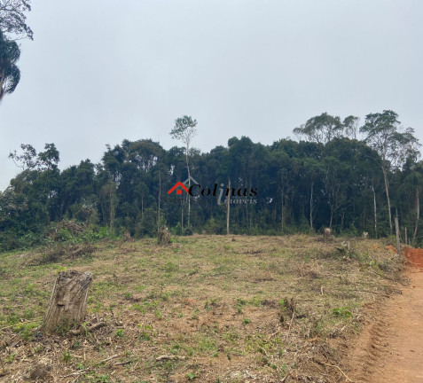 Imagem Terreno à Venda, 1.000 m² em Depois Do Centro - Ibiúna