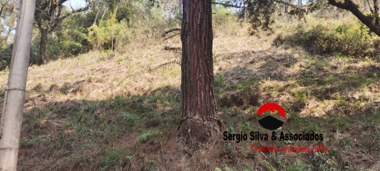 Imagem Terreno à Venda, 1 m² em Campos Do Jordão Imagem Terreno à Venda, 1 m² em Campos Do Jordão