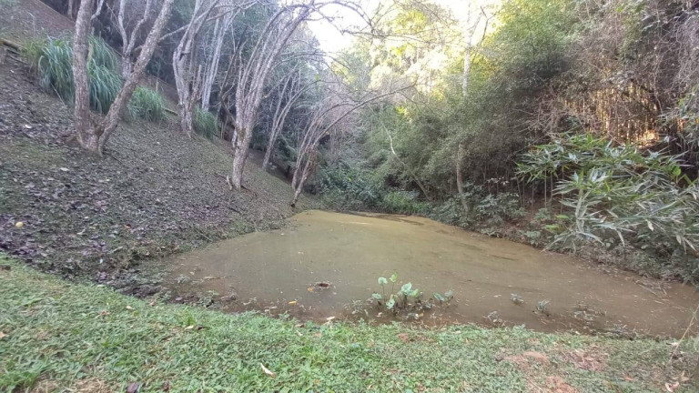 Imagem Chácara com 4 Quartos à Venda, 23 m² em Braunes - Nova Friburgo