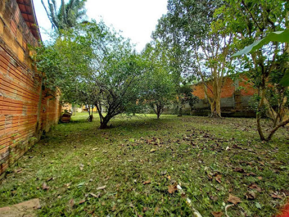 Imagem Terreno à Venda, 777 m² em Praia De Zimbros - Bombinhas