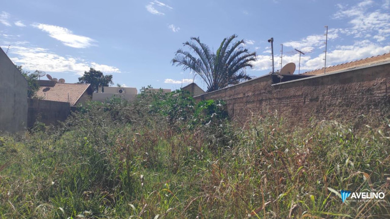Imagem Terreno à Venda, 250 m² em Jardim Das Nações - Campo Grande Imagem Terreno à Venda, 250 m² em Jardim Das Nações - Campo Grande