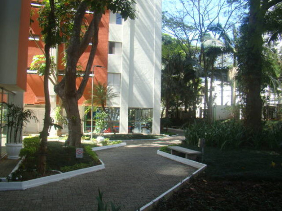 Imagem Apartamento com 3 Quartos à Venda, 63 m² em Jardim Taquaral - São Paulo Imagem Apartamento com 3 Quartos à Venda, 63 m² em Jardim Taquaral - São Paulo