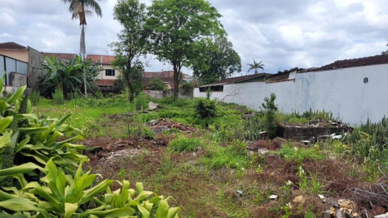 Terreno à Venda, 876 m² em Floresta - Joinville