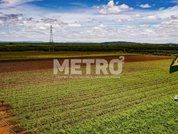 Imagem Fazenda à Venda, 250.000 m² em Rod. Do Salitre - Juazeiro Imagem Fazenda à Venda, 250.000 m² em Rod. Do Salitre - Juazeiro