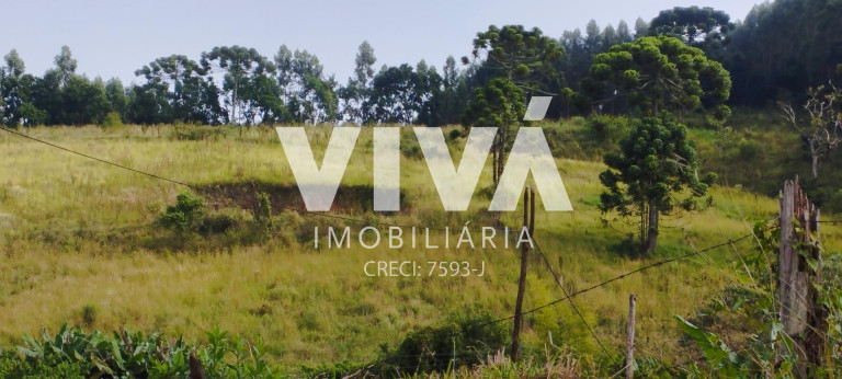Imagem Terreno à Venda, 12.000 m² em Pinhal Grande - Extrema Imagem Terreno à Venda, 12.000 m² em Pinhal Grande - Extrema