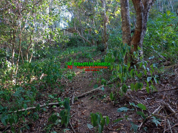 Imagem Chácara à Venda, 5.000 m² em Canaã Ll - Jambeiro Imagem Chácara à Venda, 5.000 m² em Canaã Ll - Jambeiro