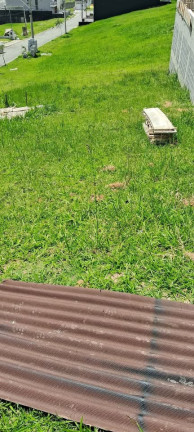 Imagem Terreno à Venda, 128 m² em Sítio Boa Vista - Cotia Imagem Terreno à Venda, 128 m² em Sítio Boa Vista - Cotia