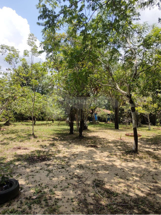 Imagem Chácara com 4 Quartos à Venda, 5.800 m² em Tarumã-açu - Manaus