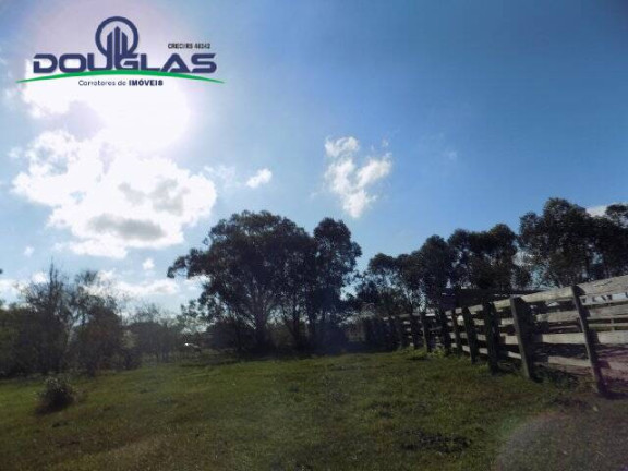Imagem Terreno à Venda, 2.885 m² em águas Claras - Viamão
