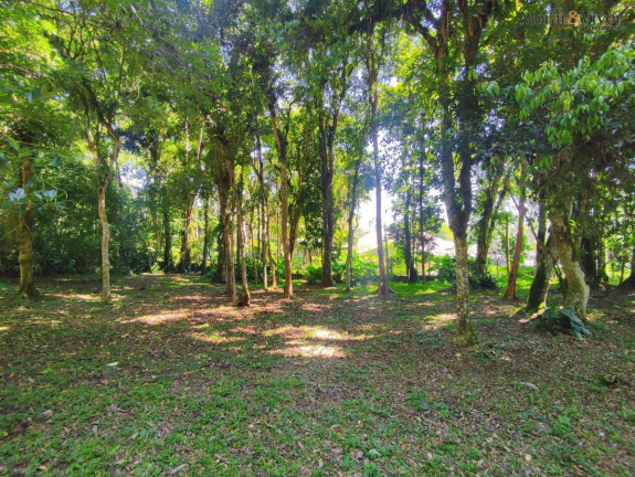 Imagem Chácara à Venda, 6.000 m² em Loteamento Chácara Chantecler - Piraquara Imagem Chácara à Venda, 6.000 m² em Loteamento Chácara Chantecler - Piraquara