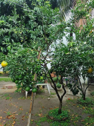 Imagem Casa com 4 Quartos à Venda, 400 m² em Campo Grande - Rio De Janeiro