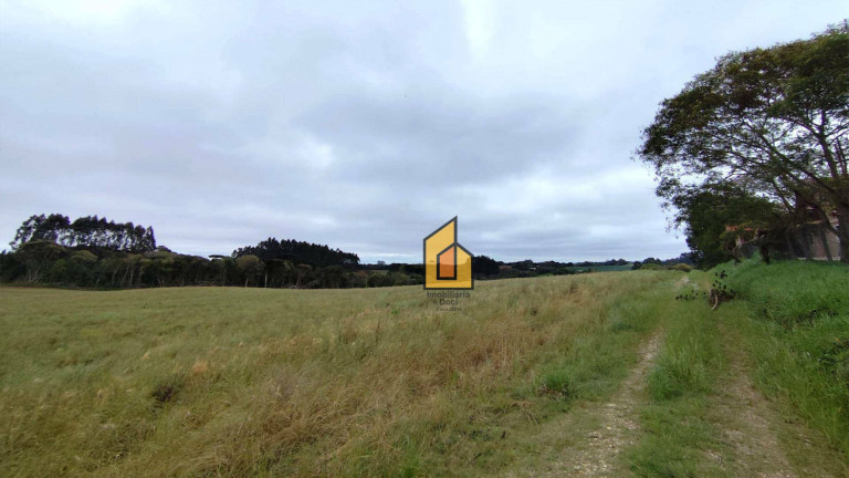 Imagem Chácara à Venda, 1 m² em Boqueirão - Araucária Imagem Chácara à Venda, 1 m² em Boqueirão - Araucária