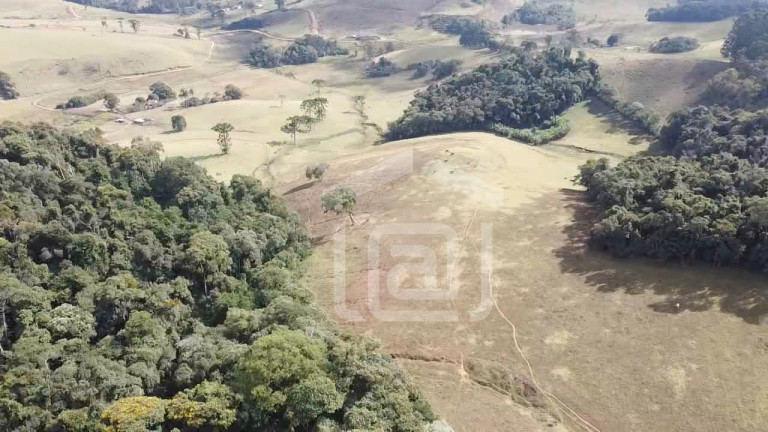 Imagem Imóvel à Venda, 7 m² em Campestrinho - Divinolândia Imagem Imóvel à Venda, 7 m² em Campestrinho - Divinolândia