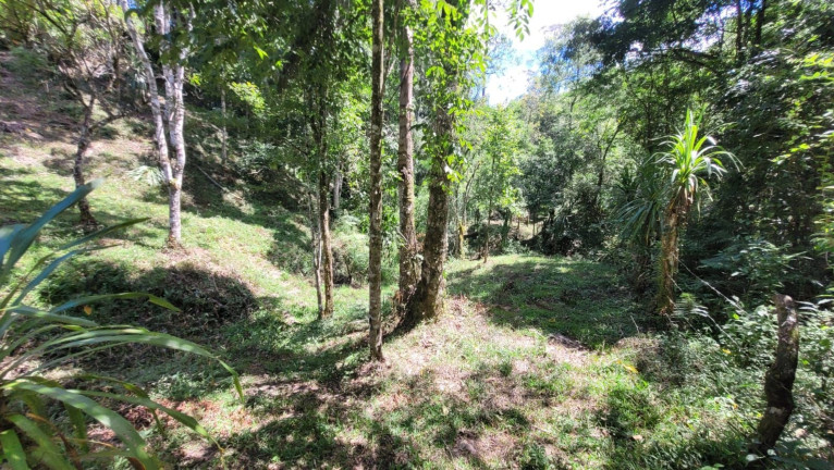 Imagem Fazenda à Venda,  em Imbuial - Campina Grande Do Sul
