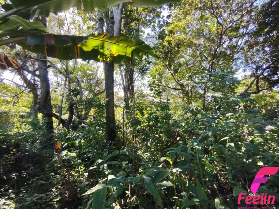 Imagem Terreno à Venda, 799 m² em Rio Tavares - Florianópolis Imagem Terreno à Venda, 799 m² em Rio Tavares - Florianópolis