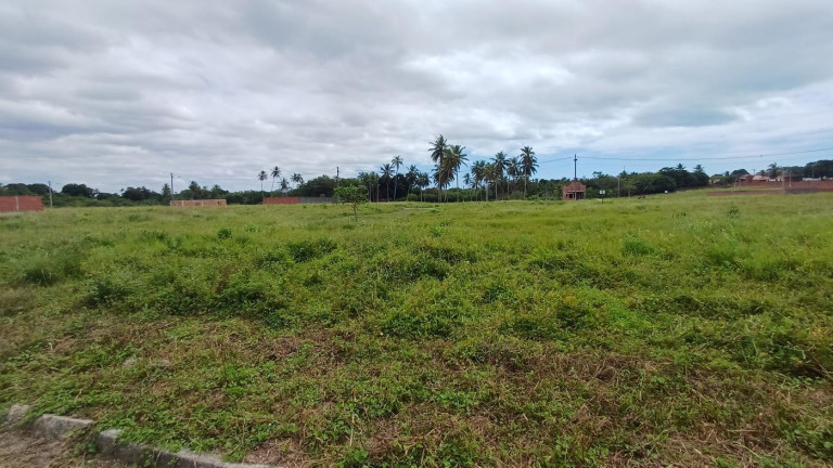 Imagem Terreno à Venda, 150 m² em Tapera - Aquiraz