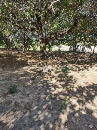 Imagem Terreno à Venda, 12.800 m² em Todos Os Santos - Teresina Imagem Terreno à Venda, 12.800 m² em Todos Os Santos - Teresina