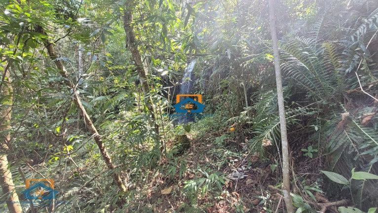 Imagem Fazenda à Venda, 630.000 m² em área Rural De Ipatinga - Ipatinga Imagem Fazenda à Venda, 630.000 m² em área Rural De Ipatinga - Ipatinga