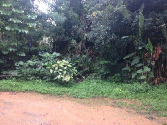 Imagem Terreno à Venda, 813 m² em Granja Viana - Cotia