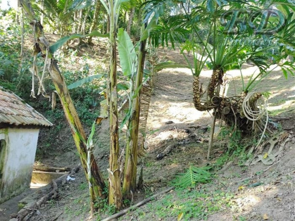Imagem Chácara com 3 Quartos à Venda, 3.185 m² em Portão - Atibaia