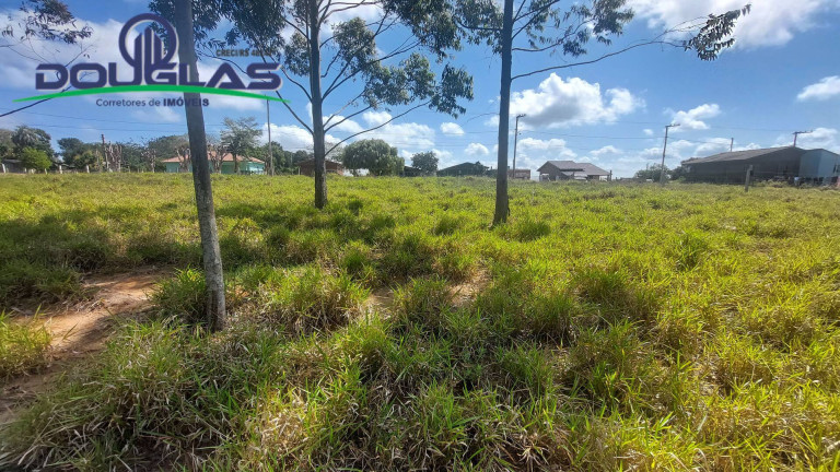 Imagem Terreno à Venda, 462 m² em águas Claras - Viamão