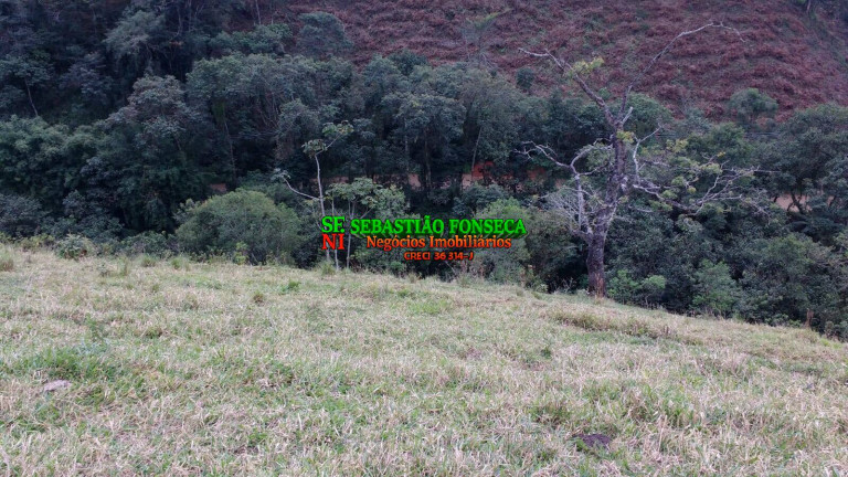 Imagem Chácara à Venda, 5.000 m² em São Francisco Xavier - São José Dos Campos Imagem Chácara à Venda, 5.000 m² em São Francisco Xavier - São José Dos Campos
